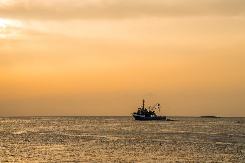 Magical Sunset Setting